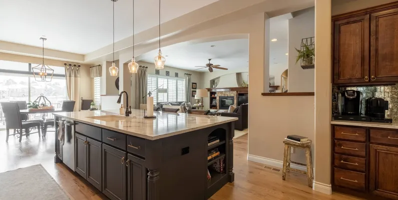 OpenAppCLI MCP protocol integration